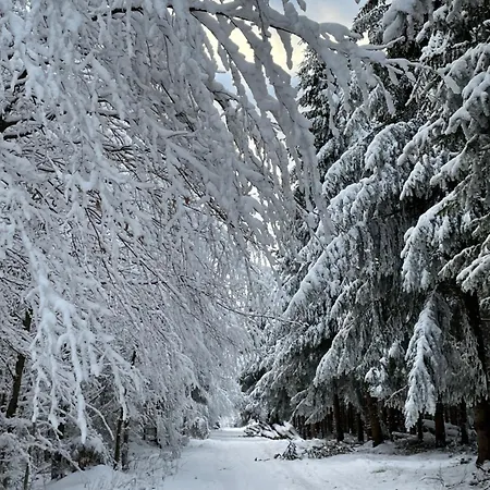 Nikki アパート *