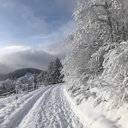 アパート Nikki メーデバッハ