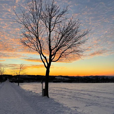 Nikki メーデバッハ