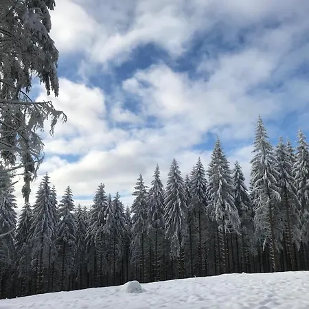 Nikki * メーデバッハ