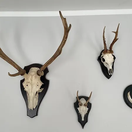 アパート Nikki *