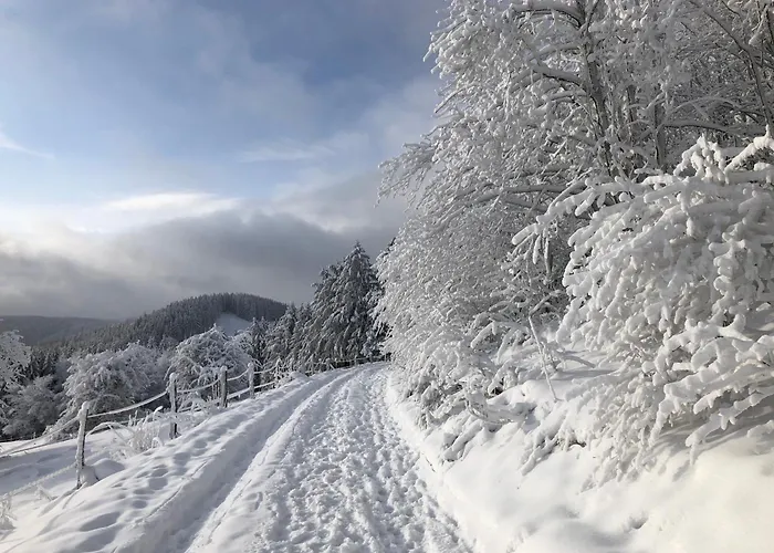 Lägenhet Nikki Medebach